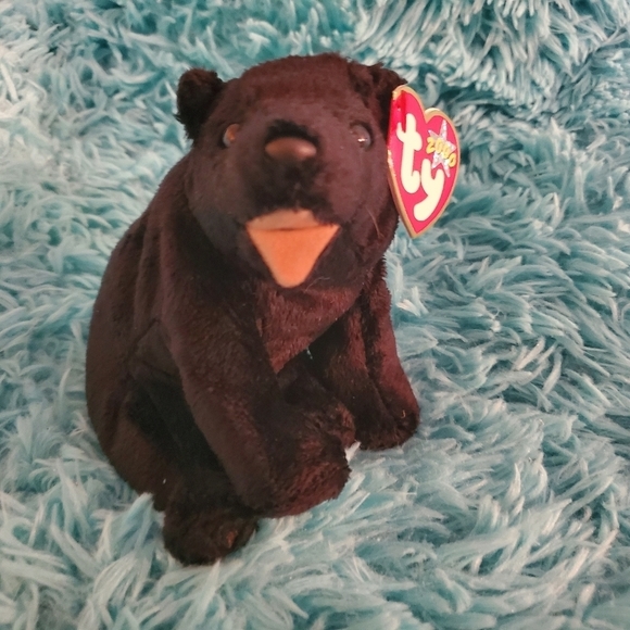 Ty Beanie Baby: Cinders the Black Bear ***Retired*** - Picture 1 of 4